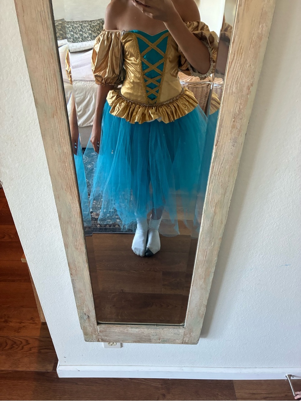 Girls Teal and Gold Tulle Princess Dance Costume